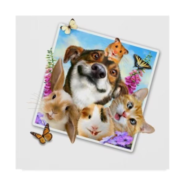 Howard Robinson 'Cute Pet Photograph' Canvas Art, 14x14, Trademark Fine Art, Mfr#: ALI24069-C1414GG